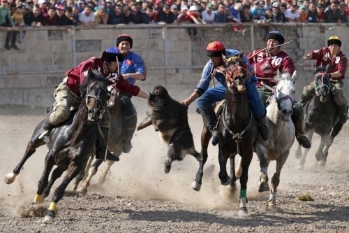 Главное фото