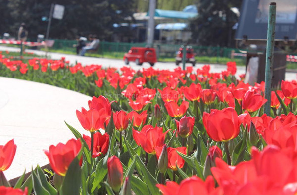 Главное фото