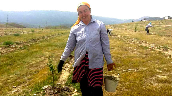 Главное фото