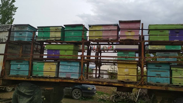 Главное фото