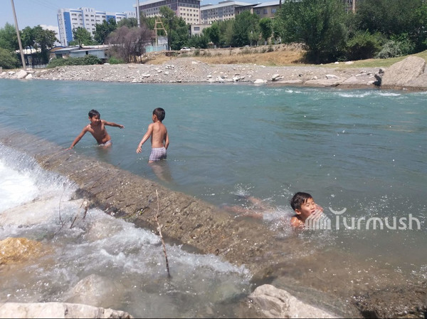 Главное фото