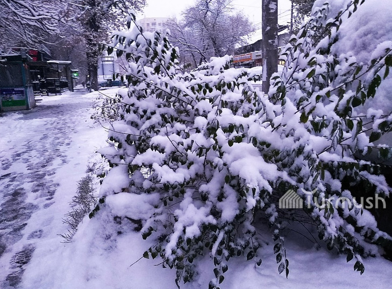 Главное фото