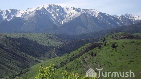 Главное фото