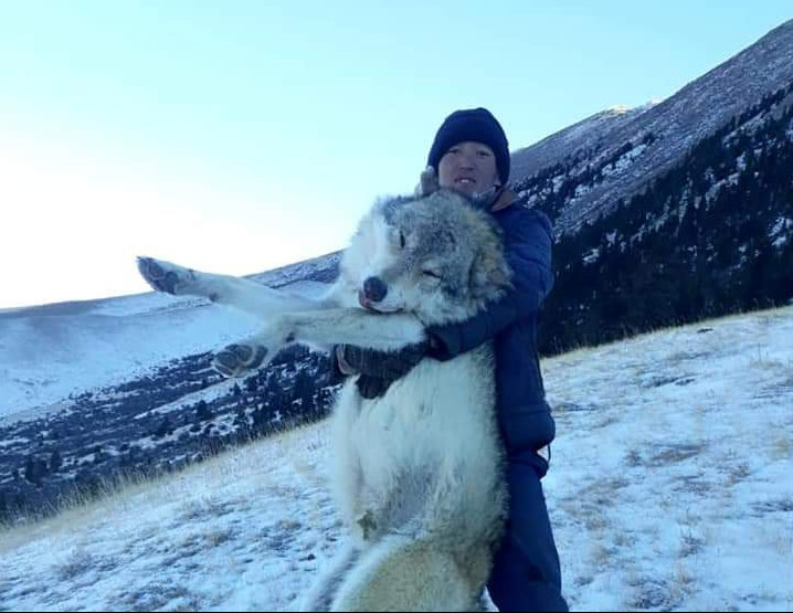 Главное фото