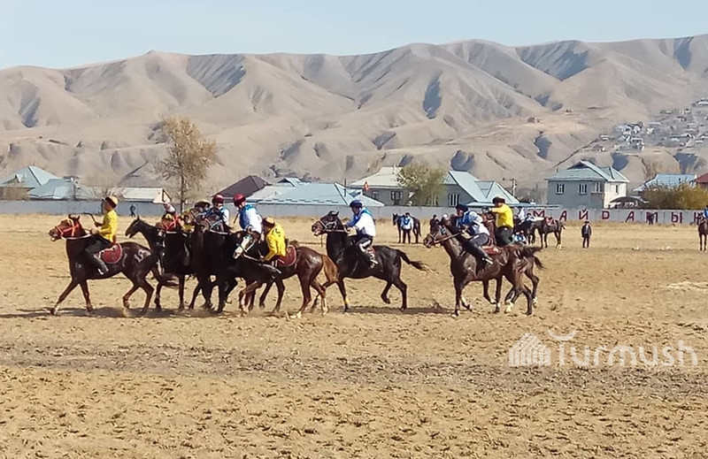 Главное фото