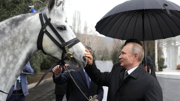 Главное фото