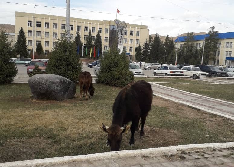 Главное фото