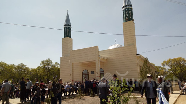 Главное фото