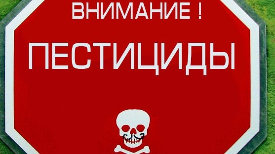 Госэкотехинспекция выявила 57 складов устаревших пестицидов и удобрений с постсоветских времен &mdash; Tazabek