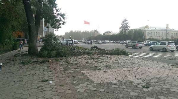 Главное фото