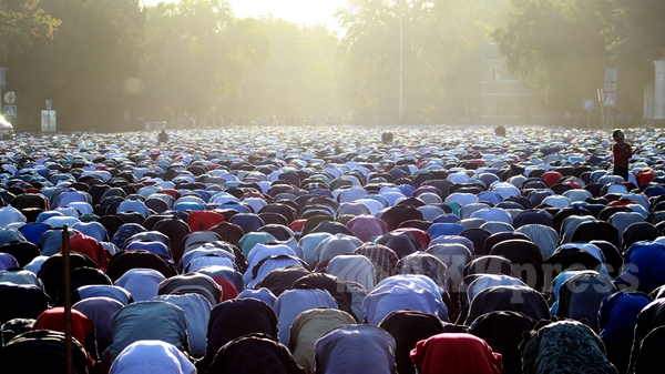 Главное фото