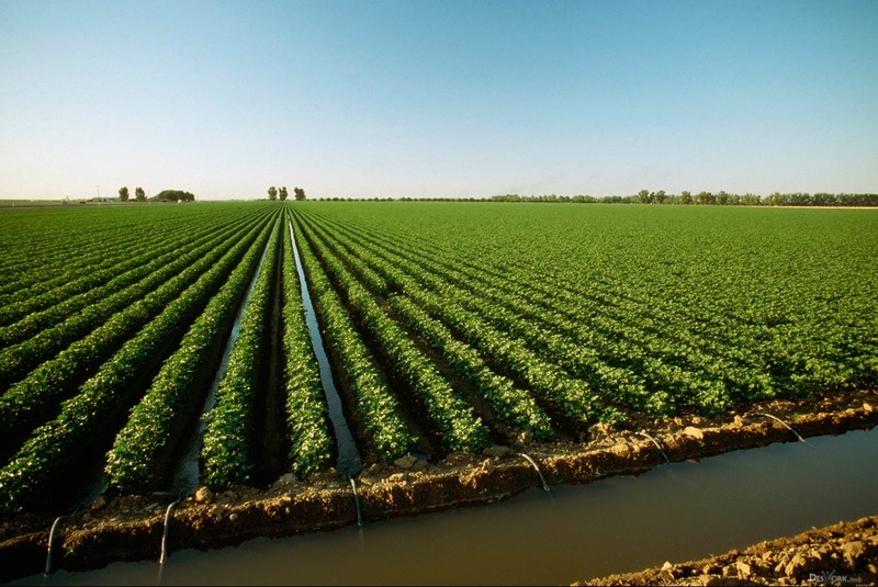 Сельское хозяйство, лесное и рыбное хозяйство &mdash; очень перспективный бизнес, - представитель ФАО в Кыргызстане Д.Кинлай &mdash; Tazabek