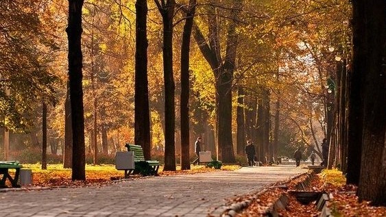 Главное фото