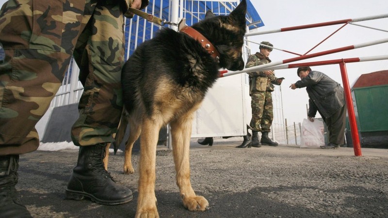 ЕЭК о производстве стройматериалов: Если не наладить конструктивный диалог, то члены ЕАЭС могут начать создавать барьеры для партнеров по союзу &mdash; Tazabek