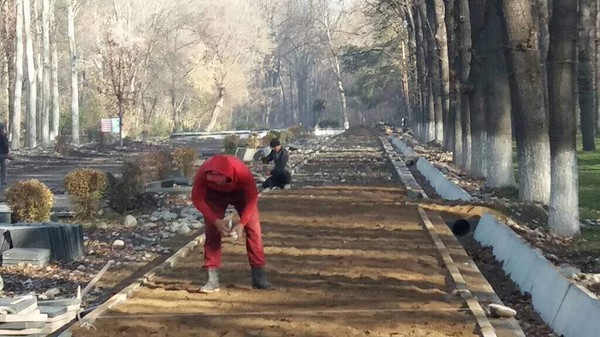 Главное фото