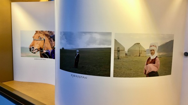 Главное фото