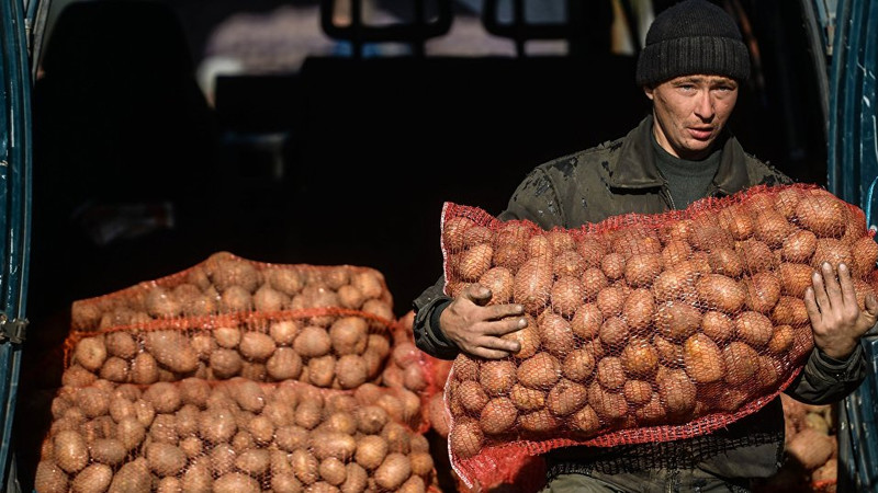 Какие условия ставит КНР для экспортеров сельхозпродукции из КР? &mdash; Tazabek