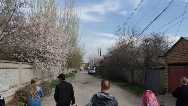 Главное фото