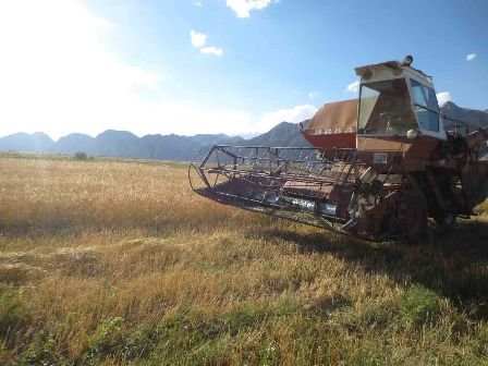 Главное фото