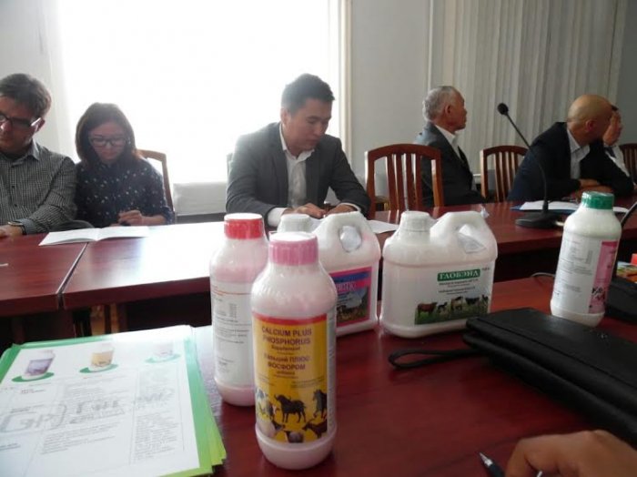 Главное фото