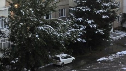 Главное фото