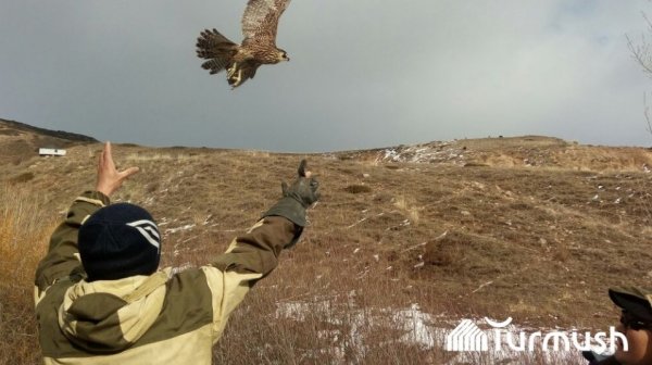 Главное фото