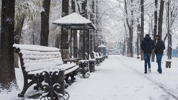 Главное фото