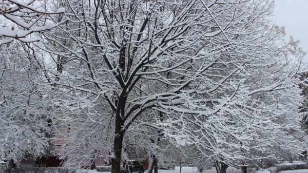 Главное фото