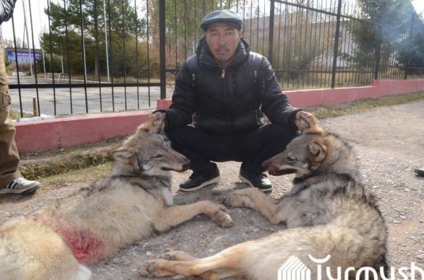 Главное фото