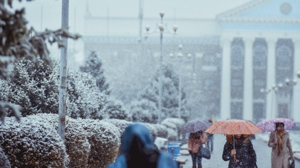 Главное фото