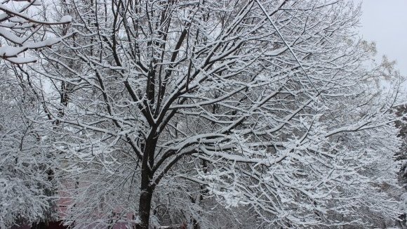 Главное фото