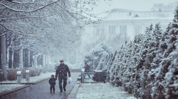Главное фото