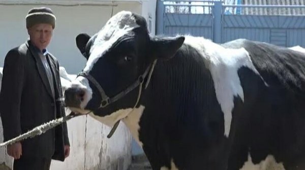 Главное фото