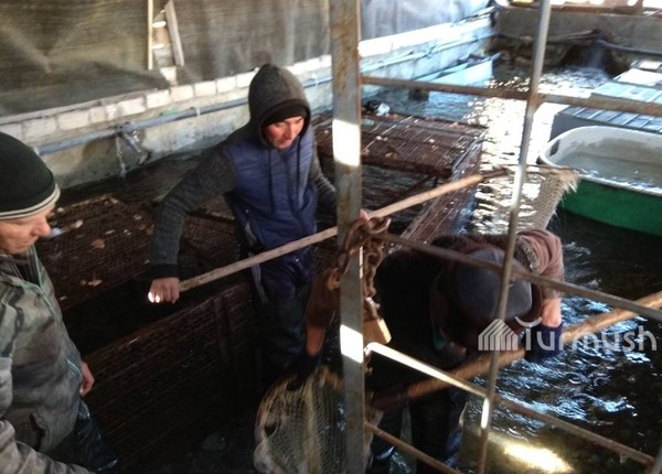 Главное фото