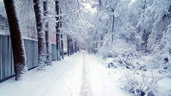 Главное фото