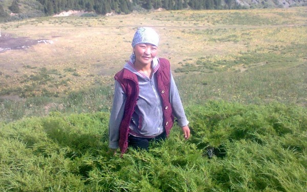 Главное фото