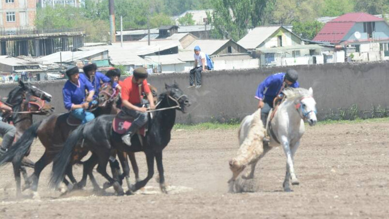 Главное фото