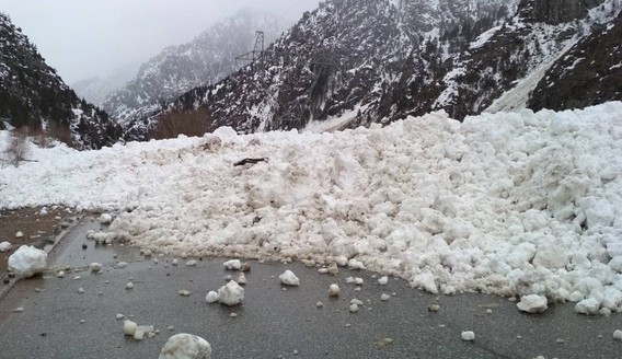 Главное фото