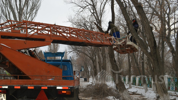 Главное фото