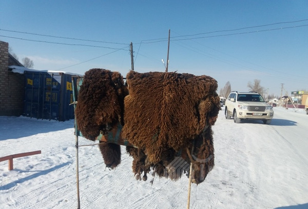 Главное фото