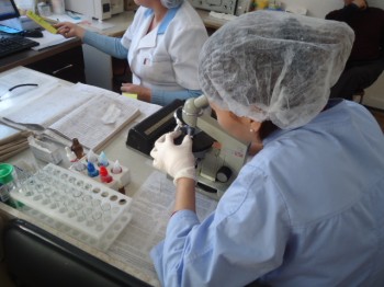 Главное фото