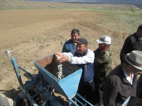 Главное фото