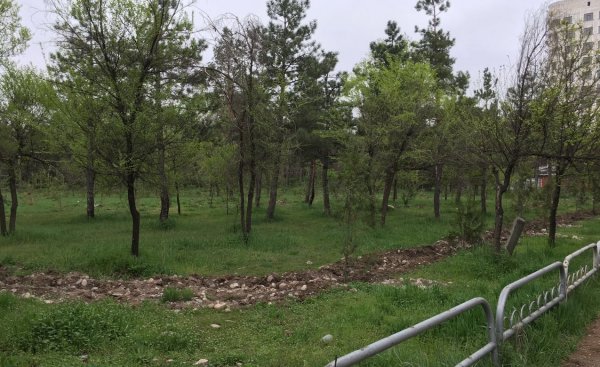 Главное фото