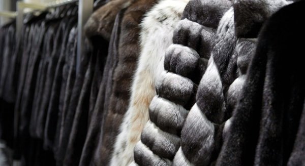 ЖК одобрил в I чтении проект соглашения о реализации пилотного проекта в ЕАЭС по маркировке меховых изделий &mdash; Tazabek