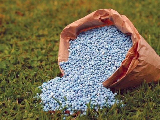 Вопрос о строительстве завода минеральных удобрений в Таш-Кумыре до сих пор не решен &mdash; Tazabek