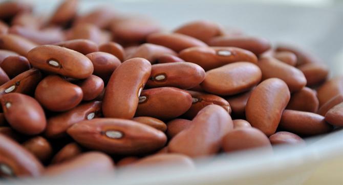 Депутат Д.Джумабеков: В Таласе фермеры стоят в недельной очереди в точке сбыта фасоли &mdash; Tazabek