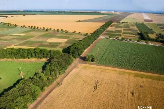 Необходимо создать рынок купли-продажи сельскохозяйственных земель, - эксперт У.Ниязалиев &mdash; Tazabek