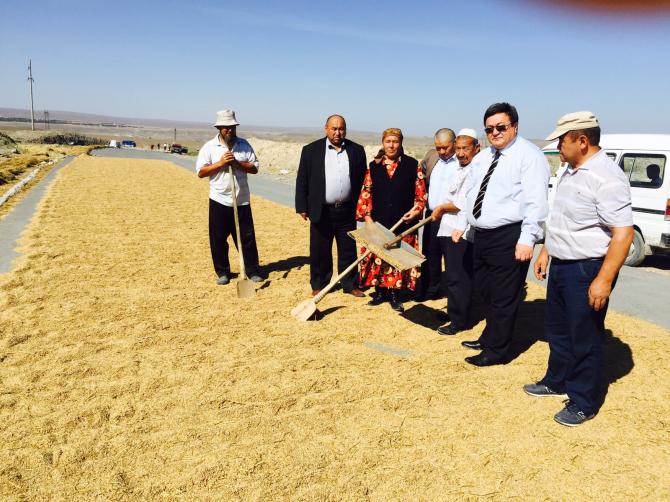 Минсельхоз дал старт уборке риса в Кадамжайском районе (фото) &mdash; Tazabek