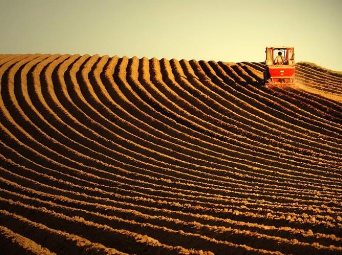 Общая посевная площадь на территории КР составила 1,2 млн га, - Минсельхоз &mdash; Tazabek