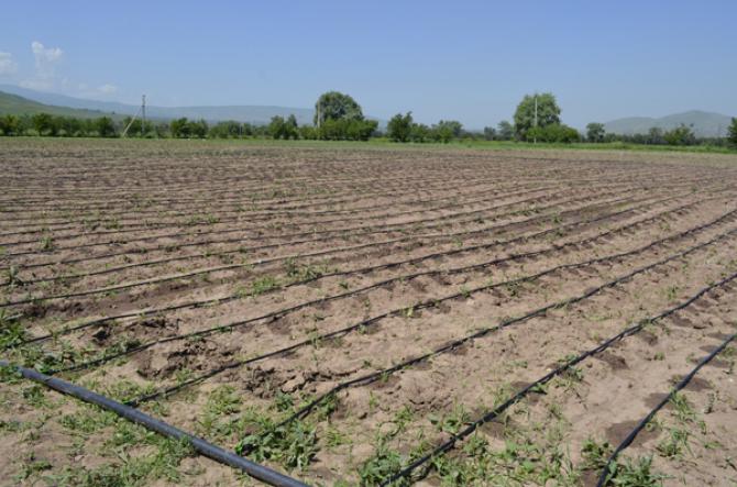 В Чуйской области обсудили преимущества и недостатки капельного орошения &mdash; Tazabek